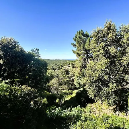 Bouginvillees Climatisee Pour 12 Personnes Avec Piscine Chauffee Et Vue A Villa
